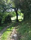 Chemin creux du Brionnais